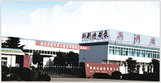 公司近景
